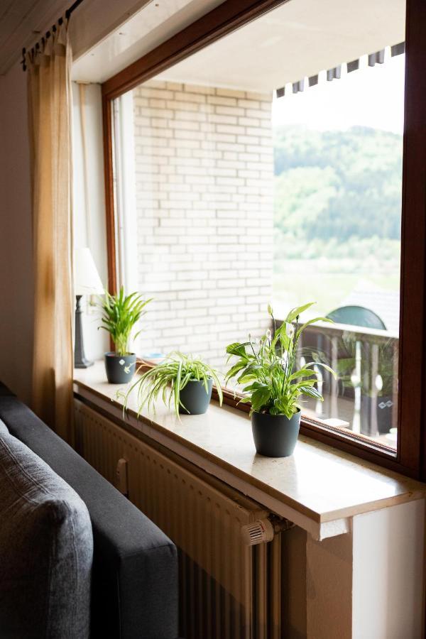 Ferienwohnung Mit Seeblick — Sport Und Erholung Winterberg Eksteriør billede